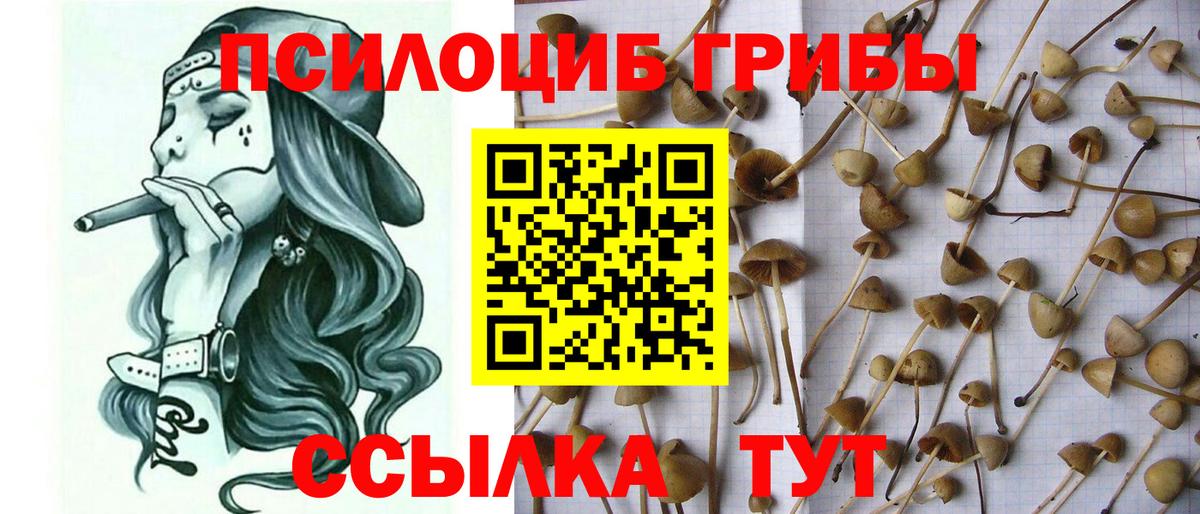 Армавир  Псилоцибиновые грибы Magic Shrooms  Вход с VPN 