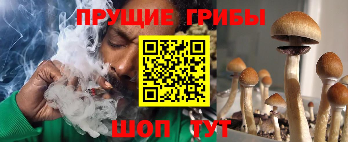 Галлюциногенные грибы GOLDEN TEACHER Армавир
